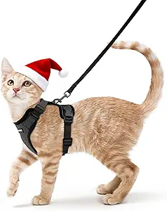 Collars, Harnesses & Leashes